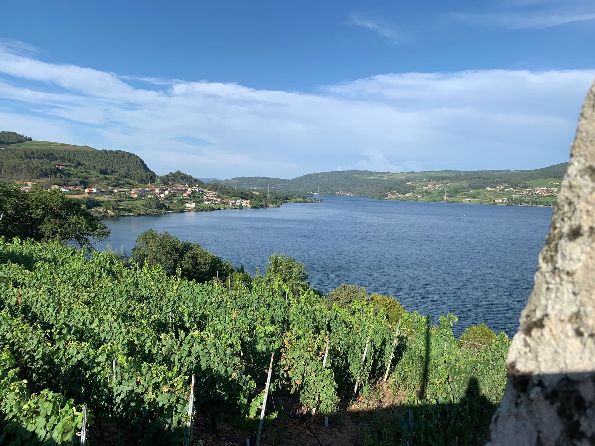 ¿Buscas dónde dormir en Ribadavia? ¡Reserva en Cepas da Cuenga!