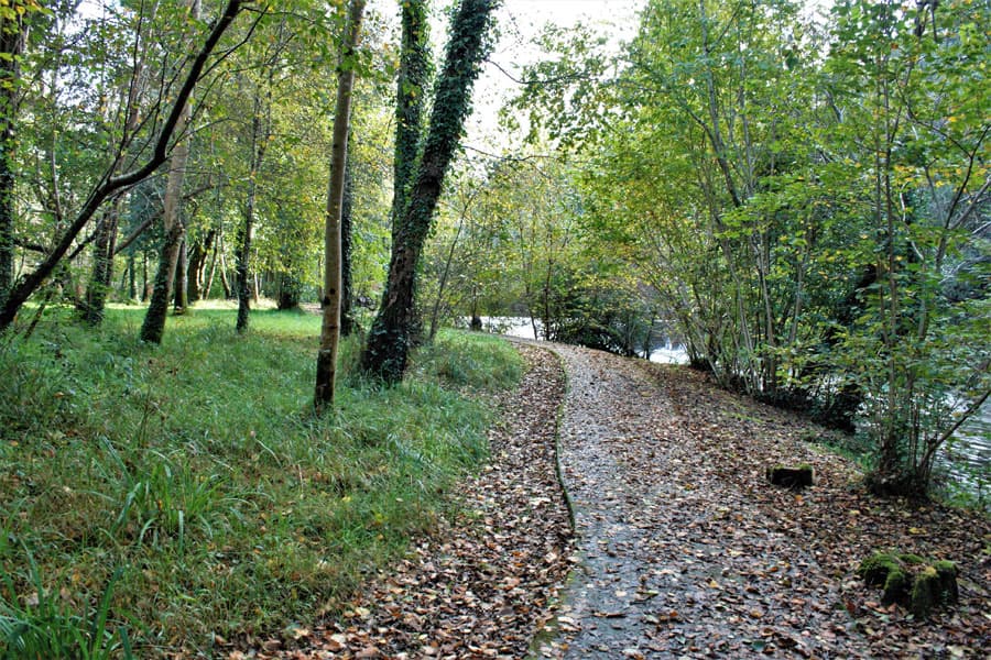 No dudes en elegir Galicia como tu destino vacacional este año
