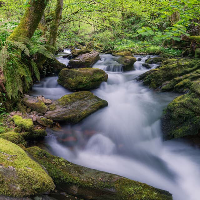 Rutas de senderismo en Ribadavia: explora la naturaleza gallega
